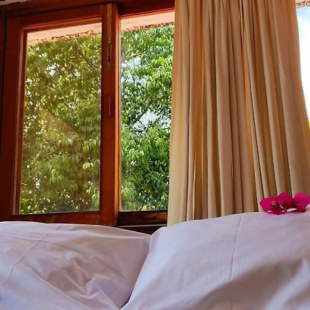 Ixlum Hoteles Y Casas Vacacionales Tepoztlán Extérieur photo